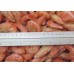 Shrimp / O, H / B, IQF, 30/50, 5kg / box. wholesale