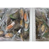 Mussels, green on the half shell, S, 45-60 wholesale