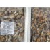 Mussels, 200-300 pcs / kg, 1 kg x 10 wholesale