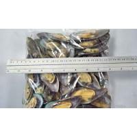 Mussels, green on the half shell, pp M wholesale