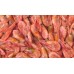 Northern Shrimp, w / m, 120-150 pcs / kg, wholesale