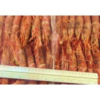 Argentinian Prawns, in shell, L1 - (10-20) pcs / kg wholesale