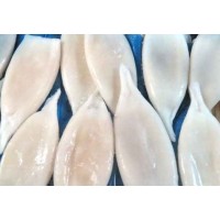 Tubes of squid, U10 wholesale
