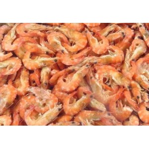 Shrimp, cooked / frozen, 100-120 pcs / kg wholesale