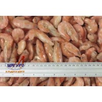 Royal shrimps, glaze. V / m, 30/50 Wholesale