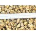 Mussels, 200-300 pcs / kg wholesale