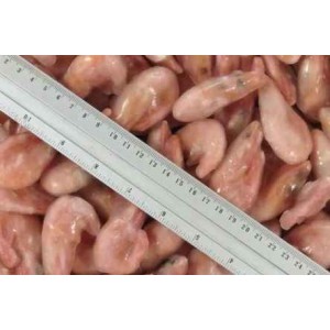 Shrimp, cooked / frozen, 60-80 pcs / kg wholesale 