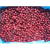 cranberries wholesale 